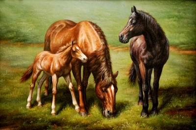 unknow artist Horses 038 china oil painting image